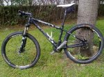 btt9.jpg