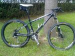 btt1.jpg