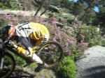 snapshot20100702214247.jpg
