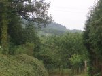 btt y landas 2010 057.jpg