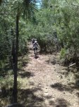 bike 004.jpg