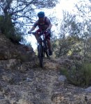 bike 009.jpg