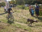 Chiens d' or Chaligny 22 et 23 septembre 2007 021.jpg