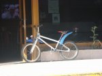 DSC08593.jpg