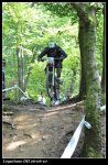 DSC_0077_1051x1600.jpg