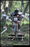 DSC_0276_1051x1600.jpg