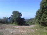 03072010894.jpg