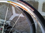 IMG00048-20100628-1748.jpg