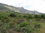 IMG_3387.jpg