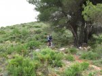IMG_3379.jpg