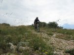 IMG_3428.jpg