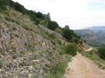 IMG_3415.jpg