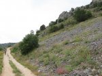 IMG_3414.jpg
