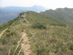 IMG_3432.jpg