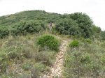 IMG_3433.jpg