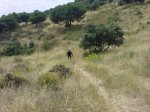 Camino de el gasco (6).jpg