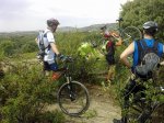 Camino de el gasco (4).jpg