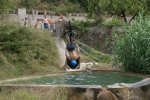 DSC01686.jpg