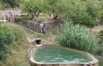 DSC01631.jpg