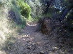 04072010905.jpg