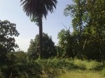 04072010913.jpg