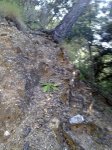 04072010909.jpg