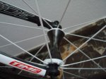 DSC02080.JPG