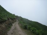 IMG_9446.jpg