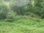 IMG_9426.JPG