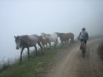 IMG_9444.jpg