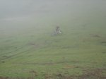 IMG_9449.jpg