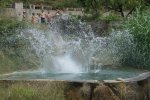 DSC01688.jpg