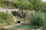 DSC01763.jpg