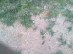 11062010055.jpg