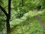 DSCN0529.jpg