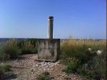 DSC00347.jpg