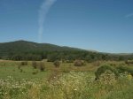 bpaisaje3.jpg