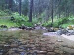 IMG00164-20100704-1313.jpg