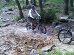 IMG00161-20100704-1256.jpg