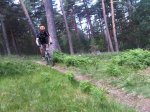 IMG00158-20100704-1236.jpg