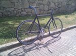 IMG_20100701_171228.jpg