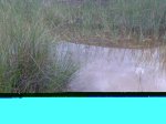 Imagen019.jpg