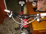DSC02562.jpg