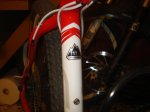 DSC02570.jpg