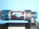 FOX (2).jpg