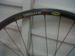 IMG00167-20100627-0014.jpg
