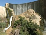 pantano de elche.6-07-10.jpg