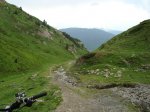 DSC01007.jpg