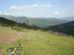 DSC00929.jpg