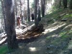 060720101184.jpg